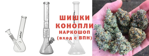 не бодяженный Новозыбков