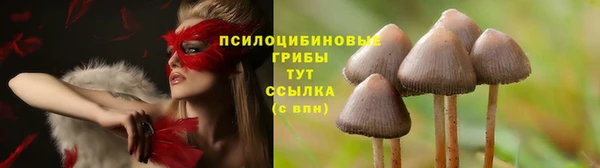 спайс Новодвинск