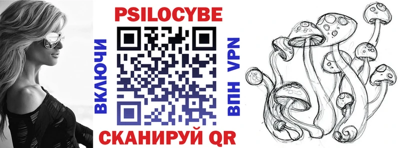 Купить  Приморск  Псилоцибиновые грибы Psilocybe 